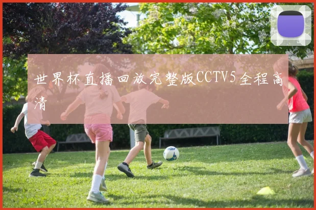 世界杯直播回放完整版CCTV5全程高清