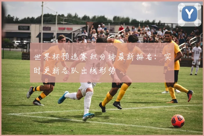 世界杯预选赛积分榜最新排名：实时更新各队出线形势