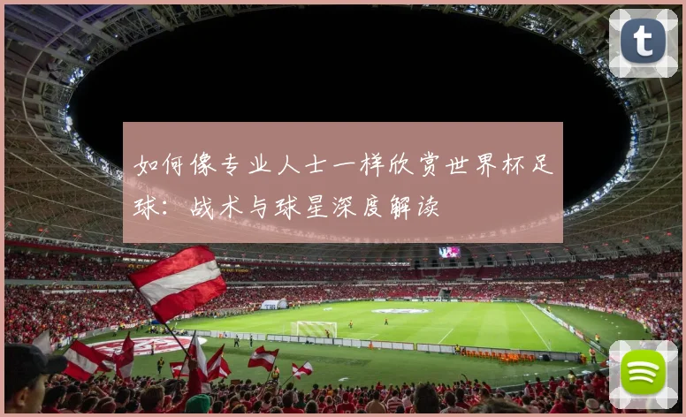 如何像专业人士一样欣赏世界杯足球：战术与球星深度解读