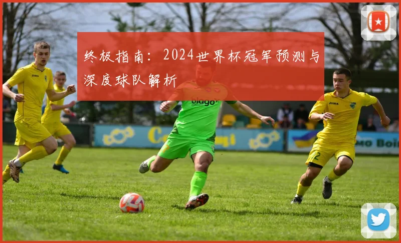 终极指南：2024世界杯冠军预测与深度球队解析