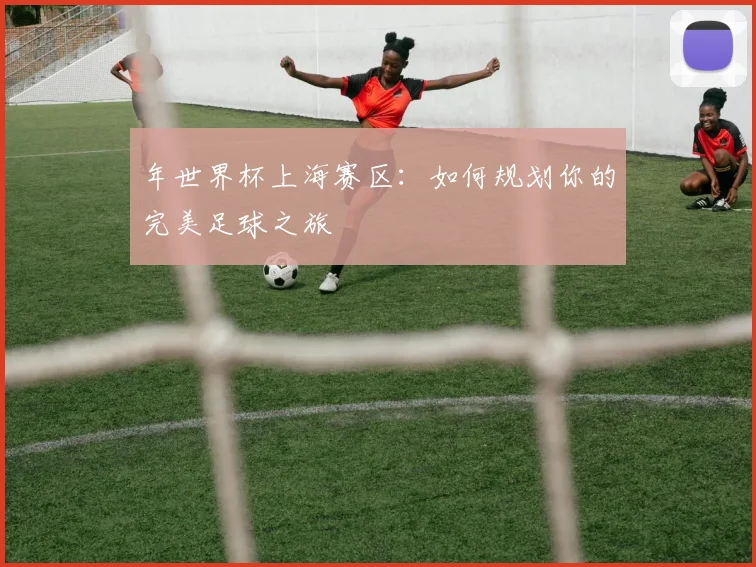 年世界杯上海赛区：如何规划你的完美足球之旅