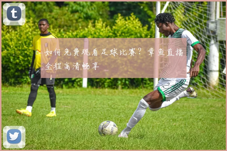 如何免费观看足球比赛？章鱼直播全程高清畅享